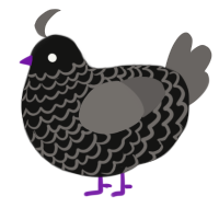 A black and grey chicken with a lace pattern