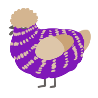 A violet and beige chicken with a bar pattern