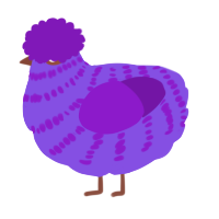 A blurple and violet chicken with a bar pattern