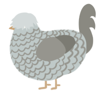 A silver and ash chicken with a lace pattern