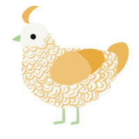 Melon, a white and honey chicken with a double-lace pattern