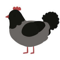A grey and black chicken with a head pattern