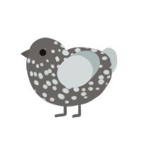 (unnamed), a grey and silver chicken with a speckle pattern