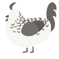 A white and grey chicken with a half-lace pattern