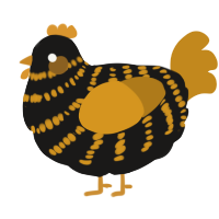 A sable and ochre chicken with a bar pattern