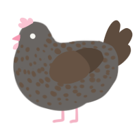 A grey and bark chicken with a speckle pattern