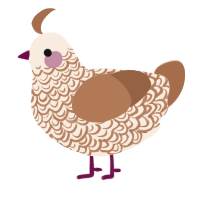 A cream and brown chicken with a double-lace pattern