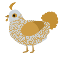 Chrysus, a mist and gold chicken with a double-lace pattern