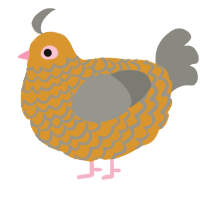 A orange and ash chicken with a lace pattern