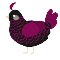 Capella, a sable and wine chicken with a lace pattern