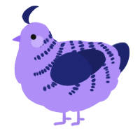 A lilac and navy chicken with a half-bar pattern
