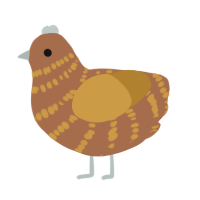 A brown and gold chicken with a bar pattern