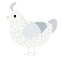 A white and mist chicken with a speckle pattern