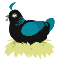 A black and sea chicken with a neck-band pattern