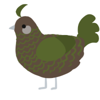 A bark and olive chicken with a lace pattern