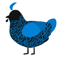 A black and sapphire chicken with a double-lace pattern