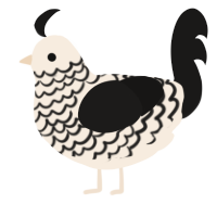A cream and sable chicken with a lace pattern