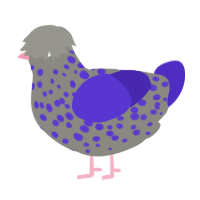 (unnamed), a ash and indigo chicken with a speckle pattern