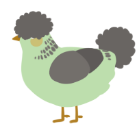 A gluppy and grey chicken with a neck-band pattern