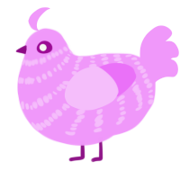 A lavender chicken with a bar pattern