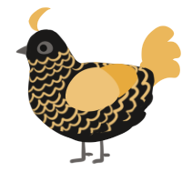 Gold, a sable and honey chicken with a lace pattern