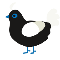 A sable and white chicken