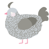 A mist and ash chicken with a double-lace pattern