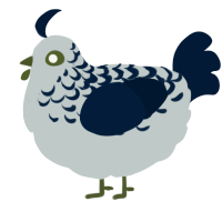 A silver and tumblr chicken with a half-lace pattern