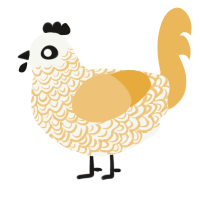 Khemu, a white and honey chicken with a double-lace pattern