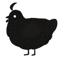 A black and sable chicken with a lace pattern