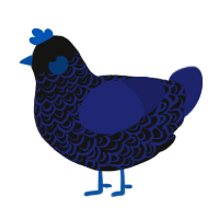 A black and navy chicken with a double-lace pattern