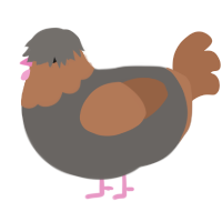 A grey and brown chicken with a head pattern