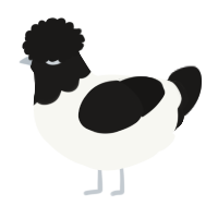 A white and sable chicken with a head pattern