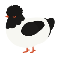 A white and sable chicken with a head pattern
