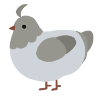 A mist and ash chicken with a head pattern