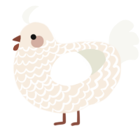 A cream and white chicken with a lace pattern