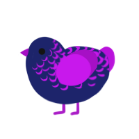 ex navy seal, a navy and amethyst chicken with a half-lace pattern