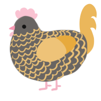 A grey and honey chicken with a lace pattern