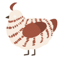 A cream and russet chicken with a bar pattern