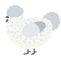 A white and mist chicken with a speckle pattern