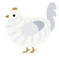 A white and mist chicken with a bar pattern