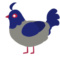 A ash and navy chicken with a head pattern