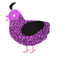 (unnamed), a orchid and sable chicken with a double-lace pattern