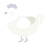 A white chicken with a head pattern