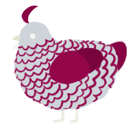 A mist and maroon chicken with a lace pattern