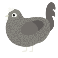 A ash and grey chicken with a double-lace pattern
