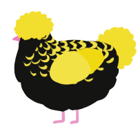 A black and yellow chicken with a half-lace pattern