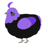A black and blurple chicken with a head pattern