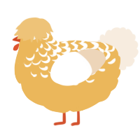 A honey and cream chicken with a half-lace pattern