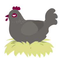 A grey chicken with a neck-speckle pattern